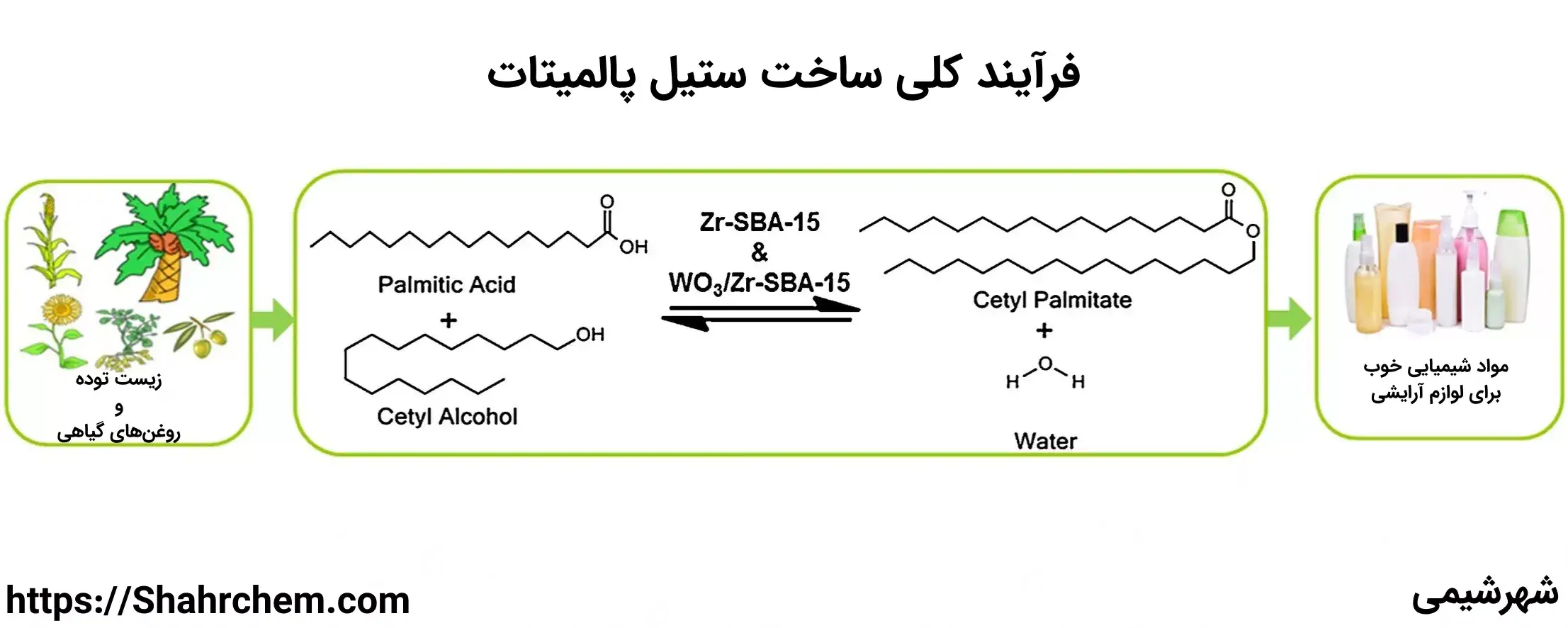 ستیل پالمیتات
