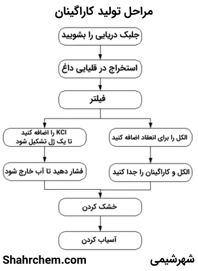 فرآیند سنتی تولید کاراگینان