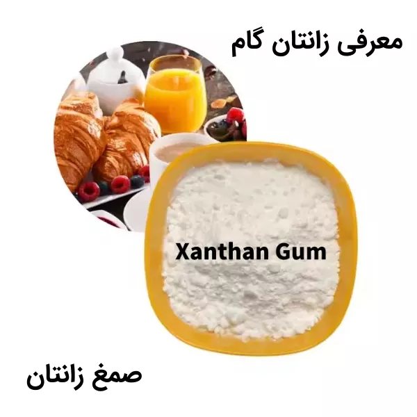زانتان گام چیست؟