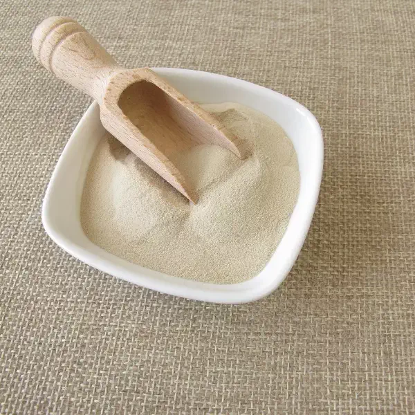 آگار آگار