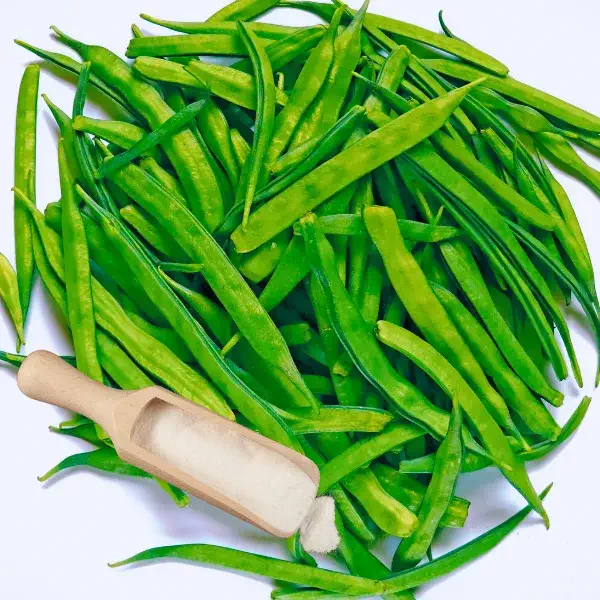 گوارگام