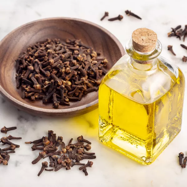 روغن گل میخک
