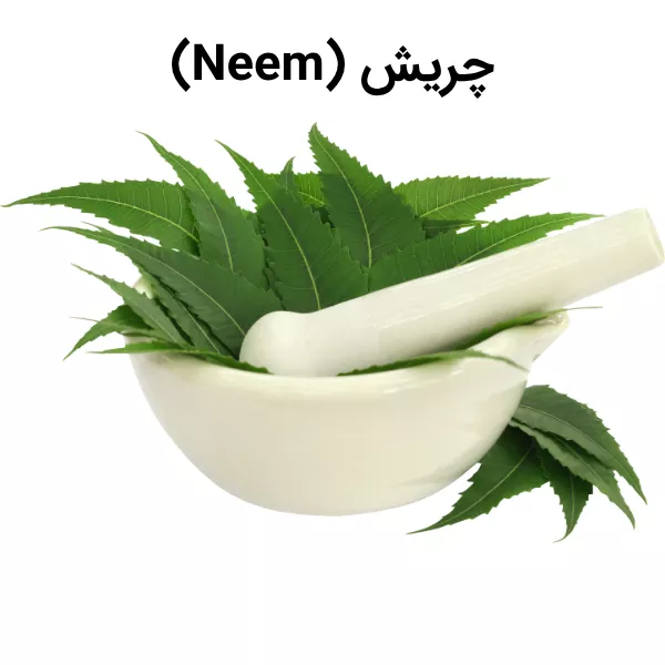 چریش