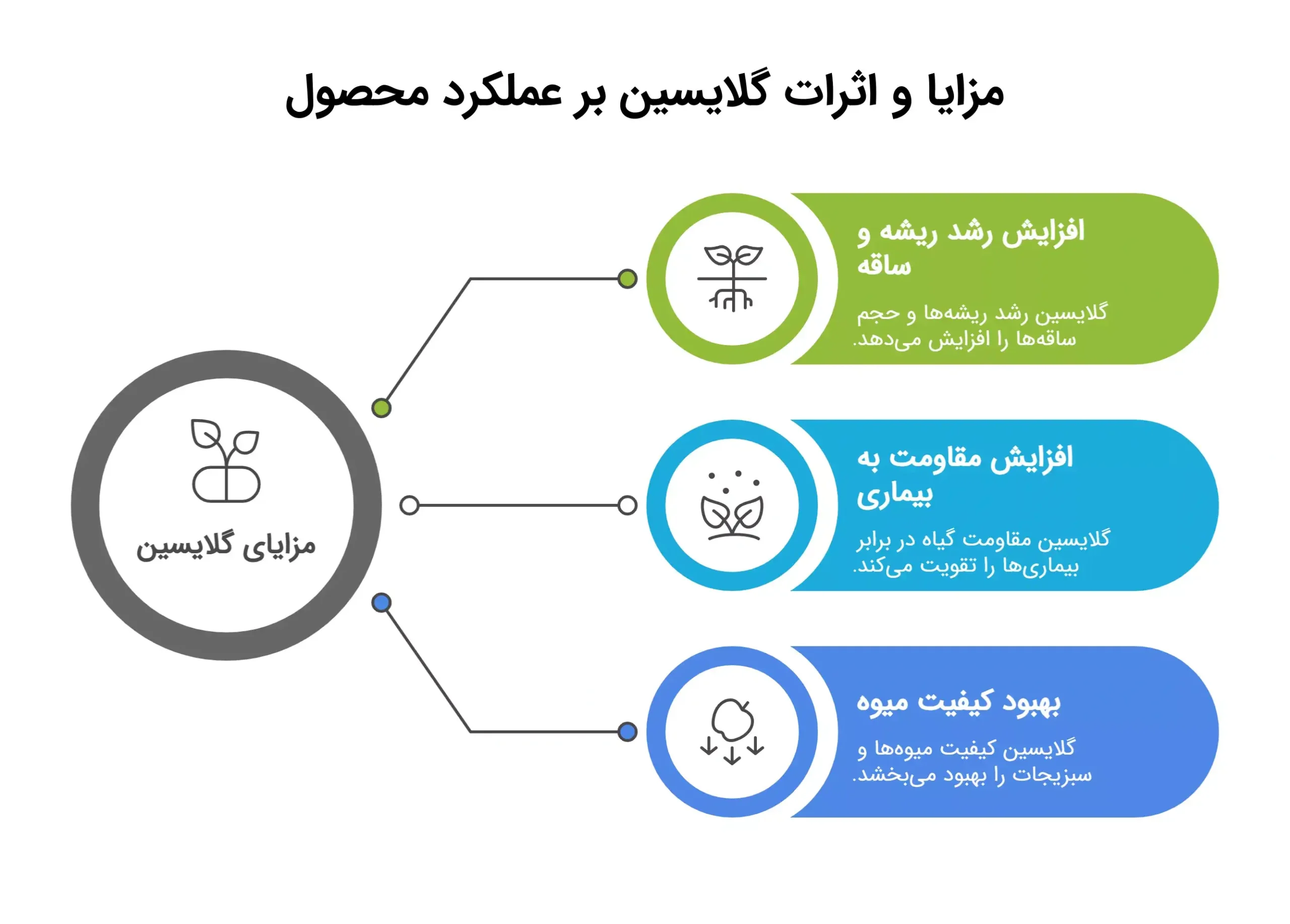 مزایا و اثرات گلایسین بر عملکرد محصول