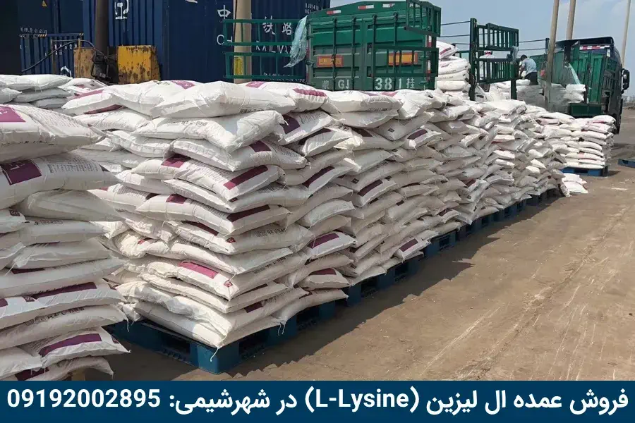 خرید عمده ال لیزین