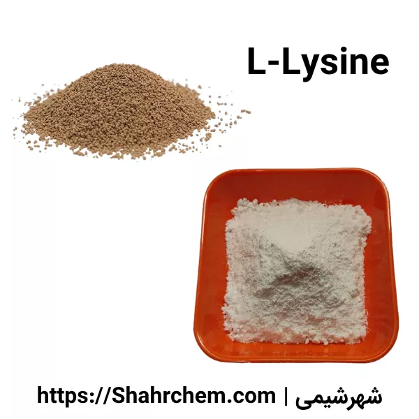 ال لیزین چیست؟