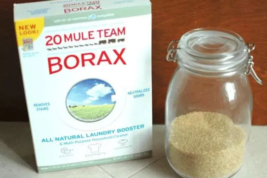 آیا بوراکس مورچه ها را می کشد؟