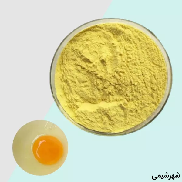 لسیتین تخم مرغ