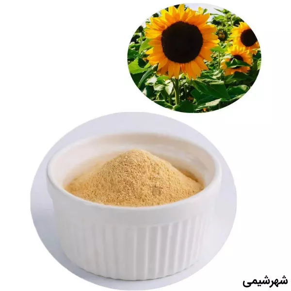 لسیتین آفتابگردان