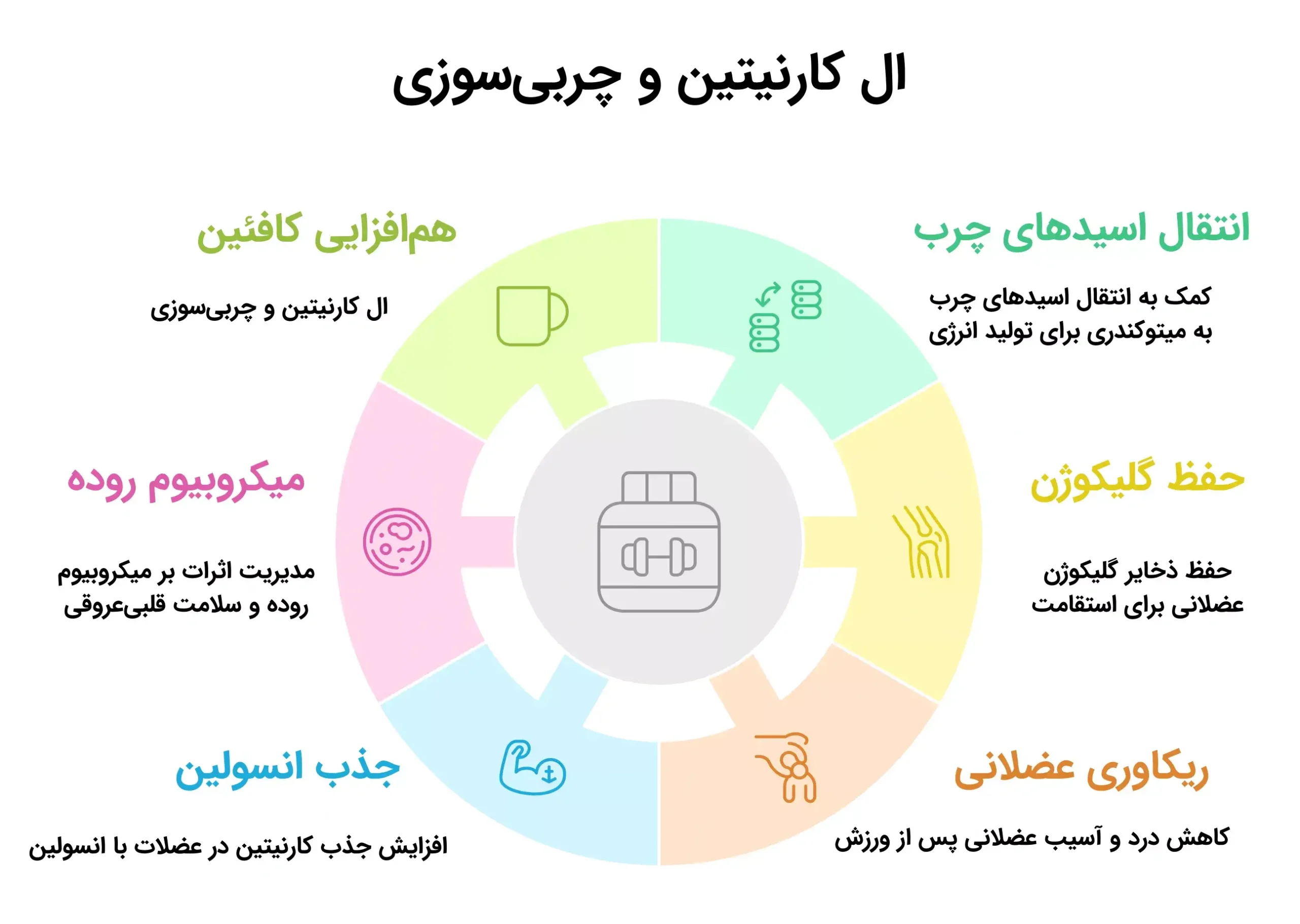 ال-کارنیتین چگونه به چربی سوزی کمک می کند؟