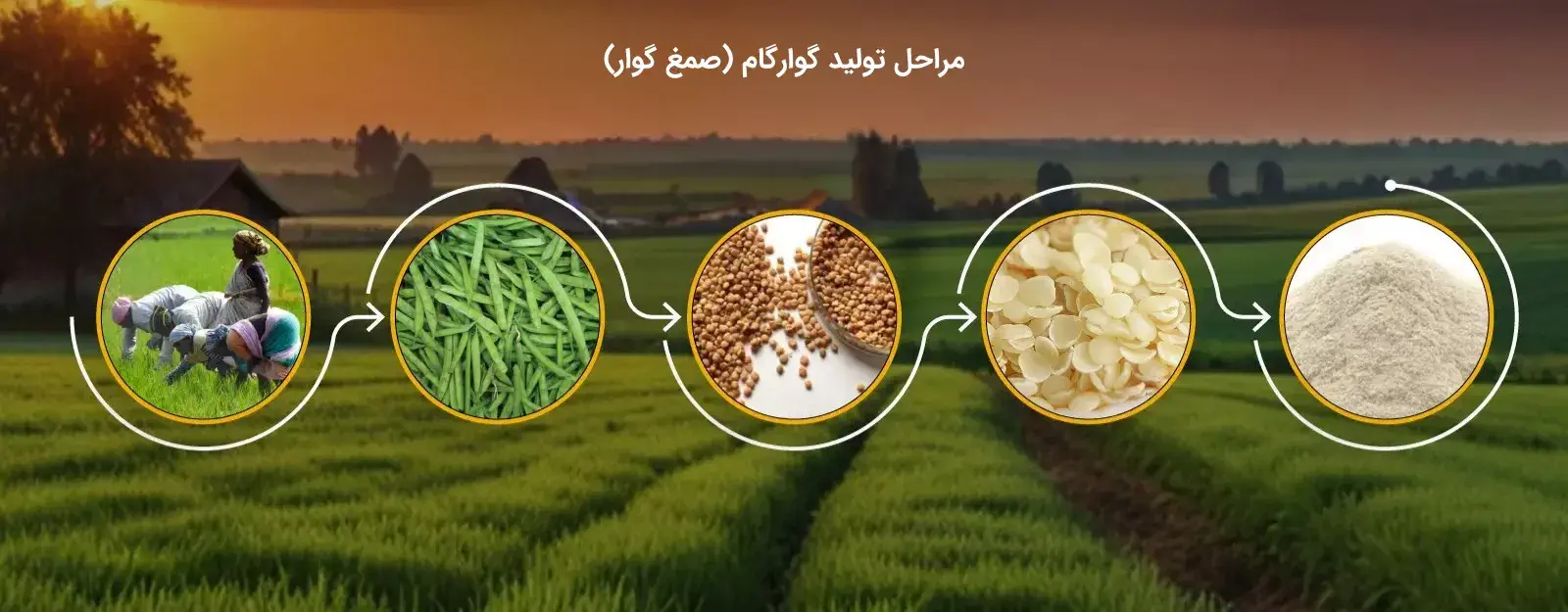 فرآیند تولید گوارگام