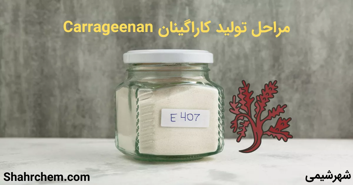 مراحل تولید کاراگینان