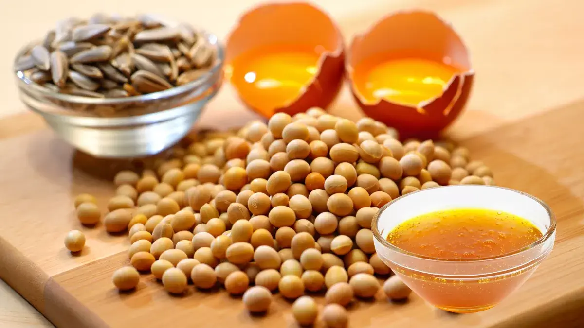 بررسی جامع لسیتین به همراه کاربردهای آن