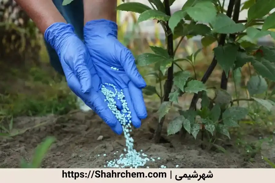 نقش سولفات آهن در بهبود کیفیت محصولات خاص