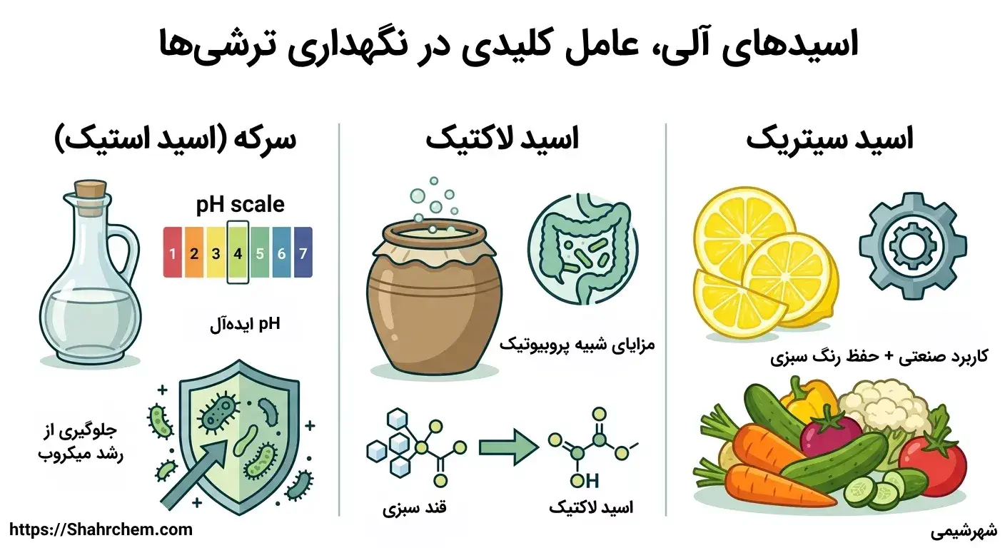 اسیدهای آلی، ستون فقرات نگهداری ترشی