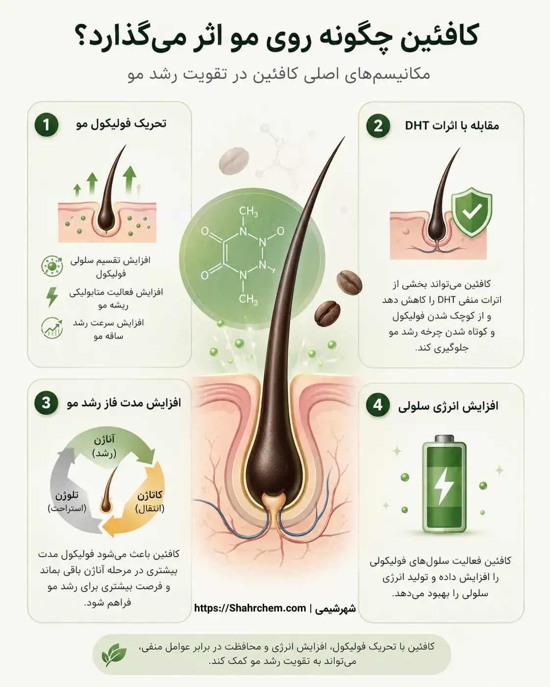 کافئین چگونه روی مو اثر می گذارد؟