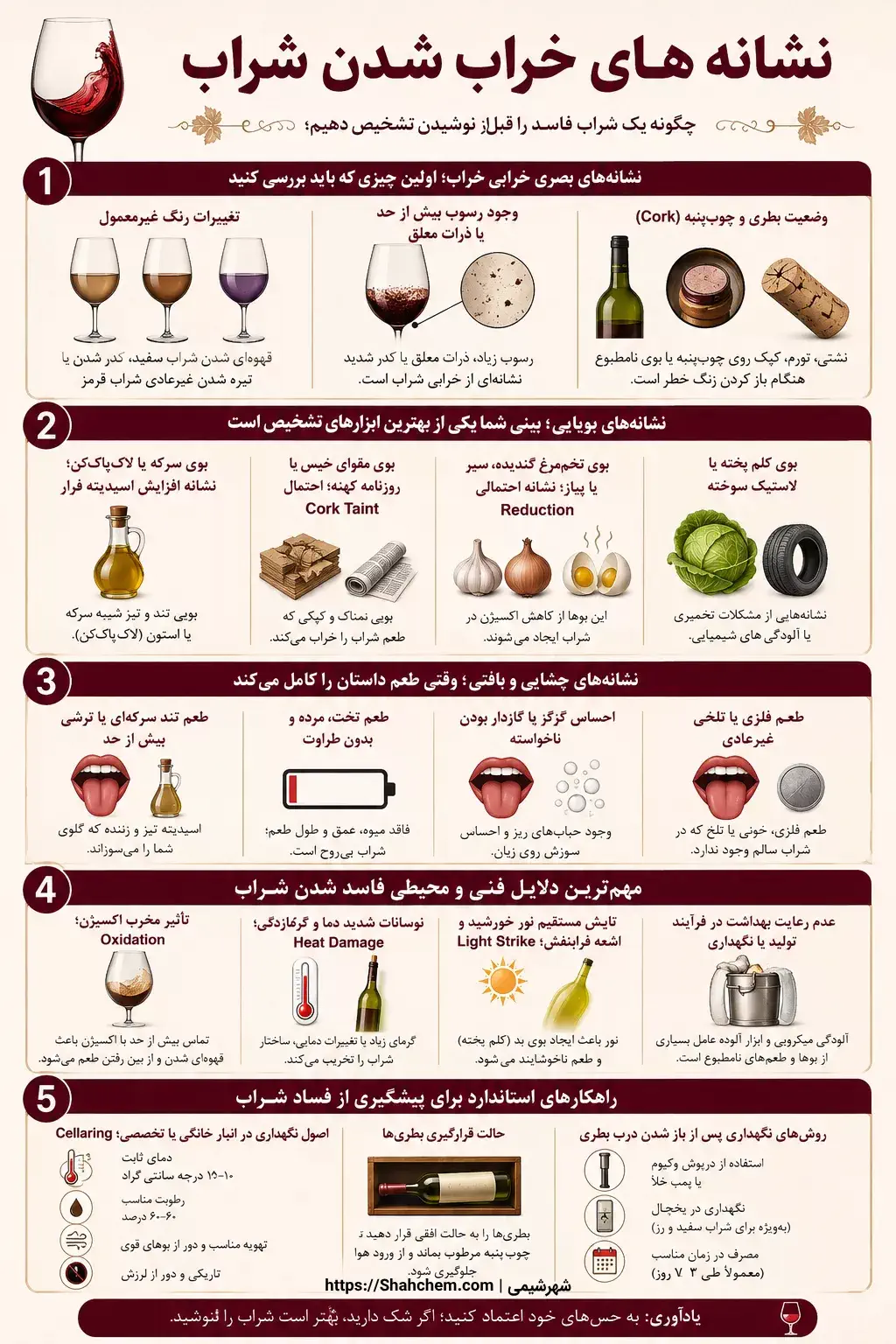 نشانه های فساد شراب؛ چگونه بفهمیم یک بطری شراب خراب شده است؟