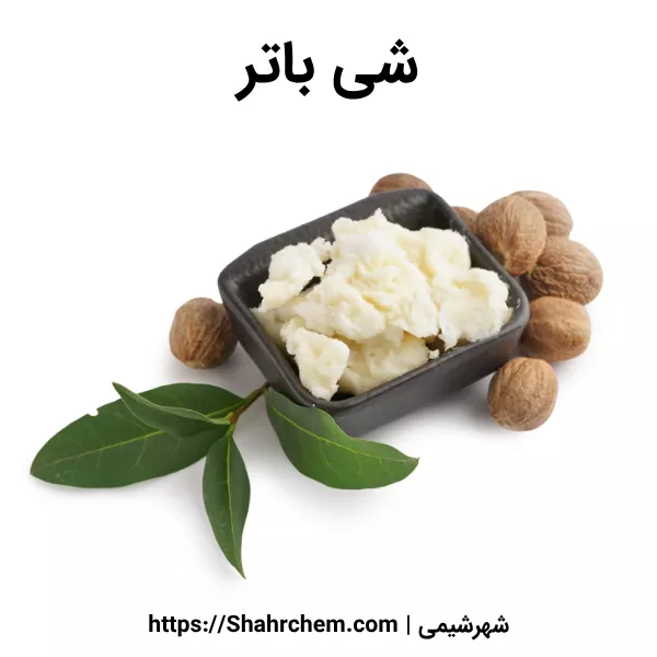 معرفی شی باتر