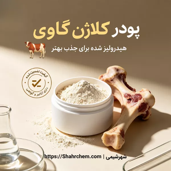 فروش پودر کلاژن گاوی گرید خوراکی