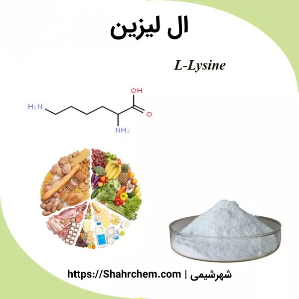 ال-لیزین چیست؟